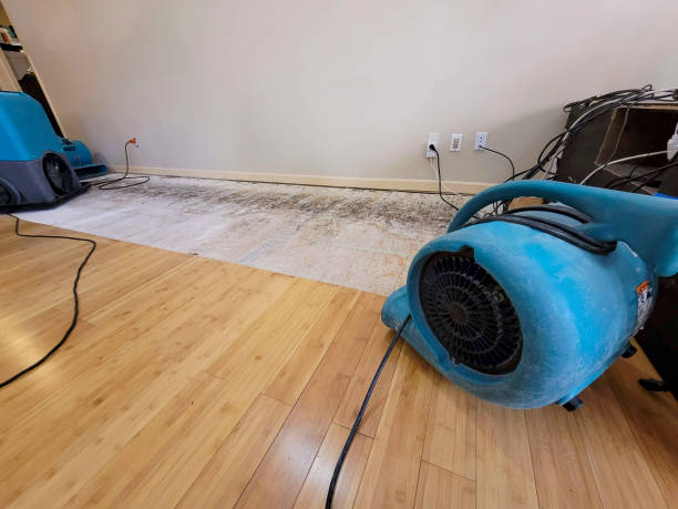 Professional Ceiling Water Damage Repair technician working in West Warren, MA